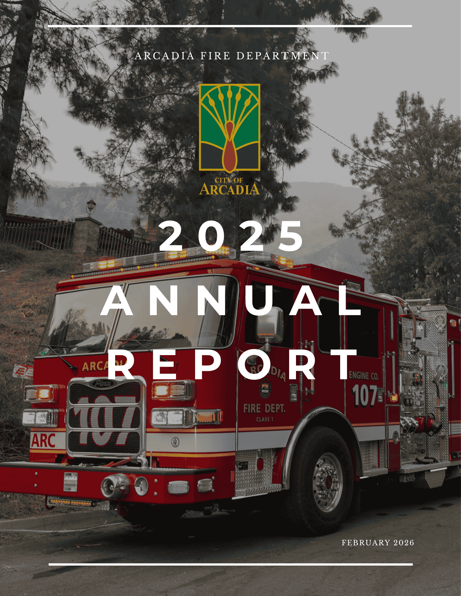 Cover Page for the 2025 Annual Report